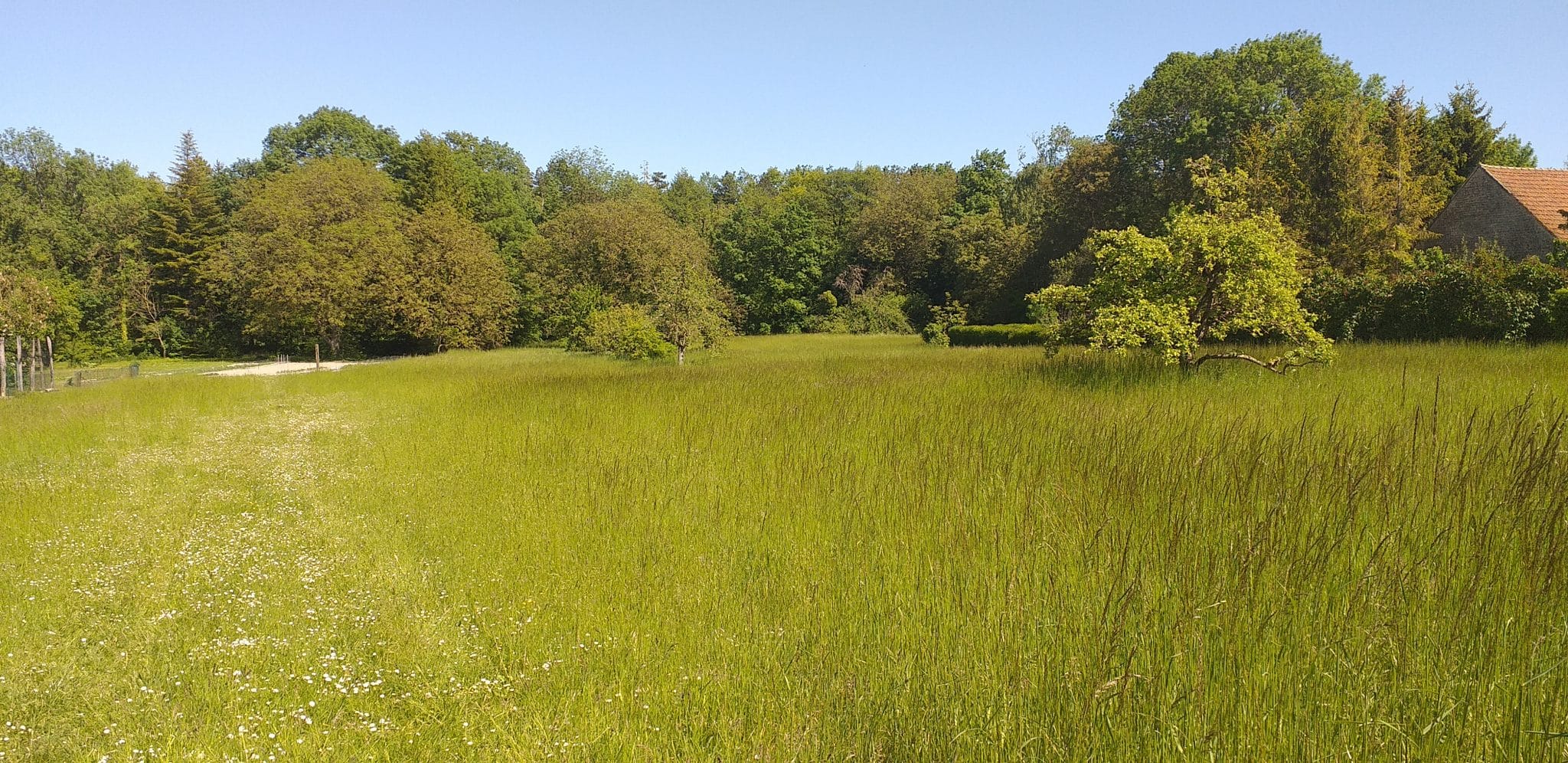 Prairie en Champagne - Epernay Tourisme