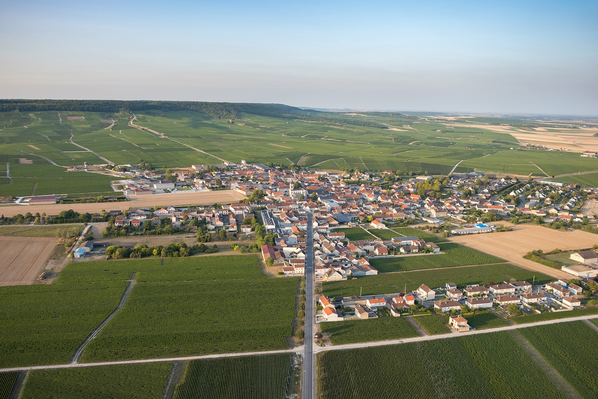 vue d'en haut sur le vignoble champenois