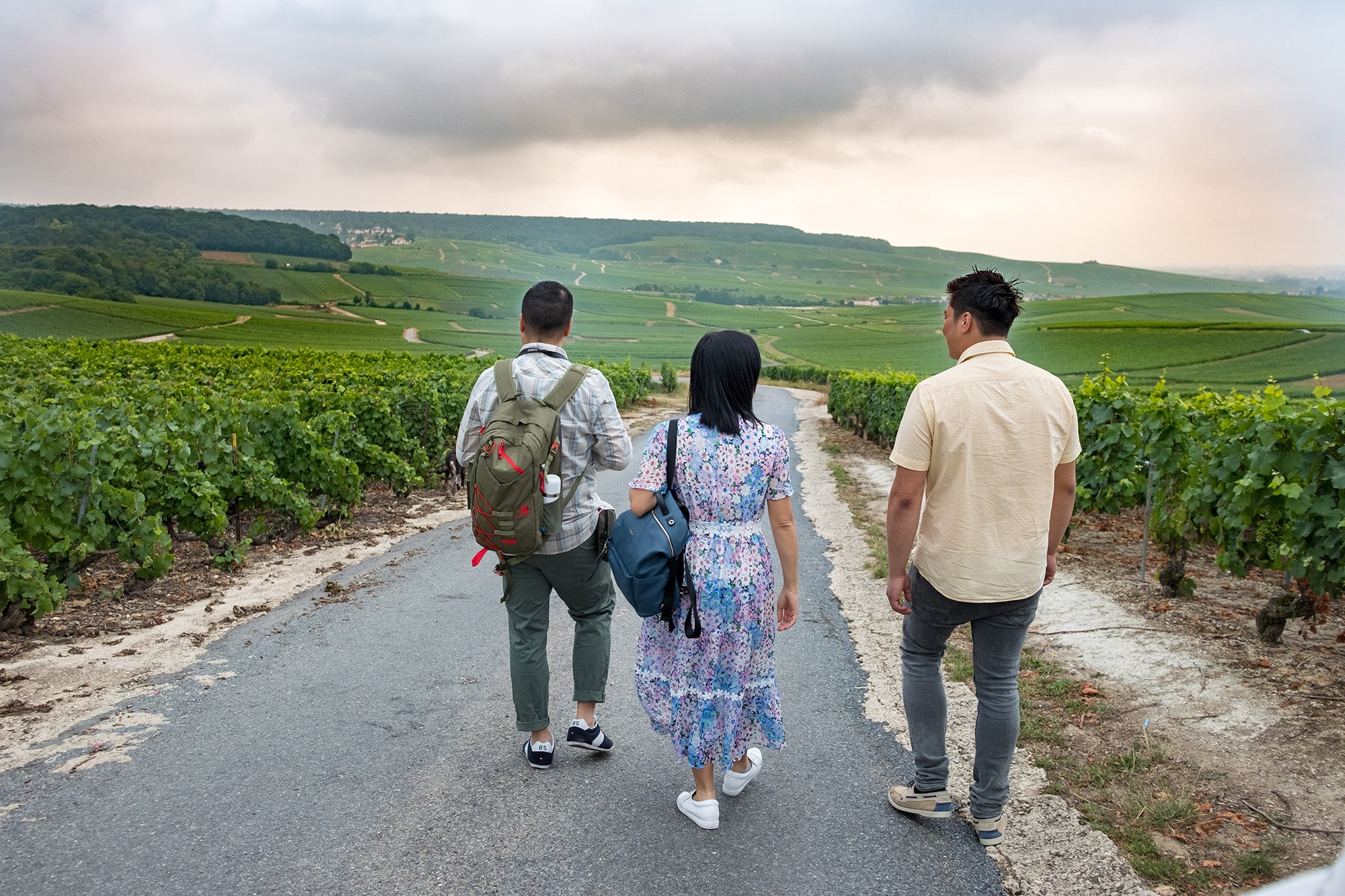 groupe de personnes qui se promène dans le vignoble champenois