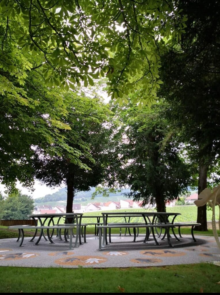 Le Clos Saint Vincent au Mesnil sur Oger - Epernay tourisme