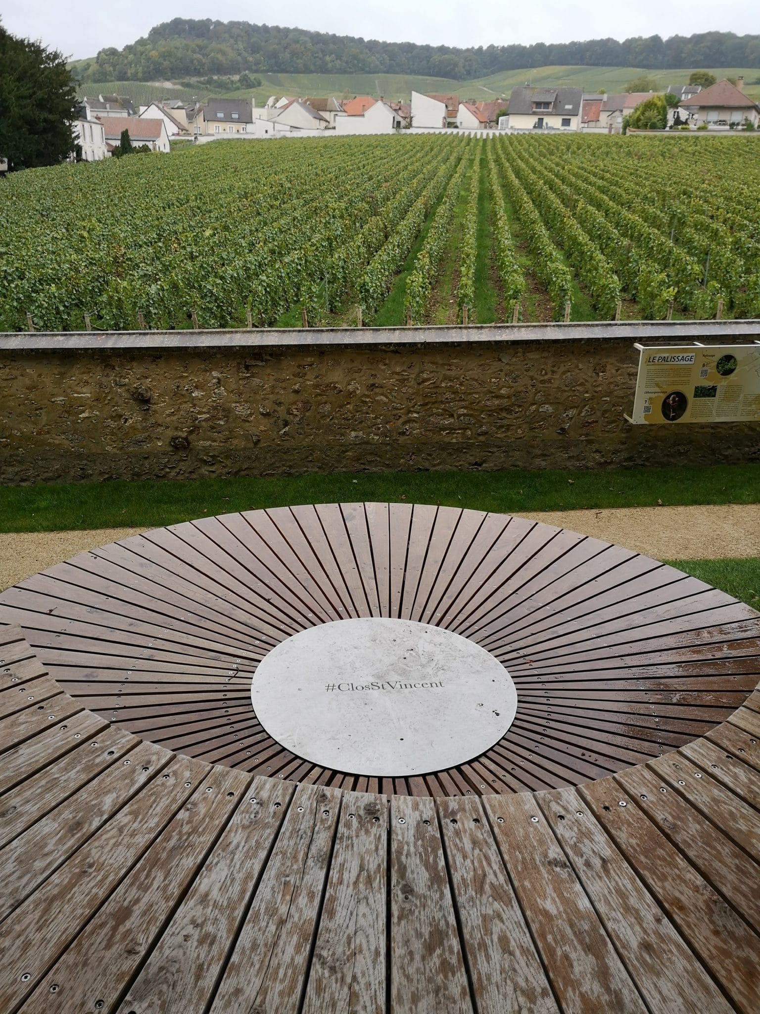 Jardin de Vignes - Le Clos Saint Vincent- Mesnil-sur-Oger ©Alexandre Couvreux Photographe