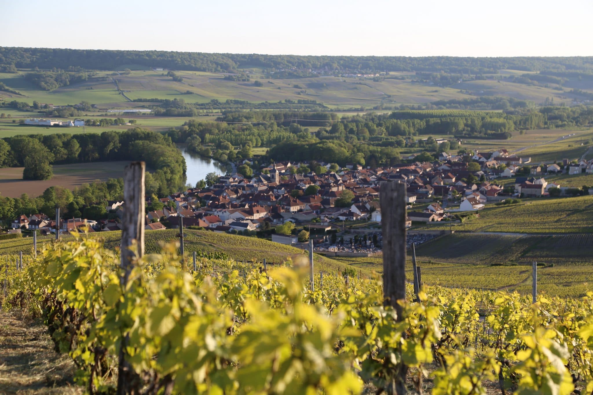 Vue sur la ville de Cumières - Epernay Tourisme