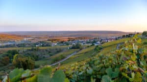 Paysage de la Champagne - Epernay Tourisme