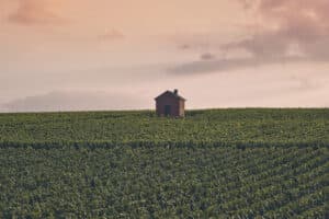 Loge de vigne champenoise - Epernay Tourisme