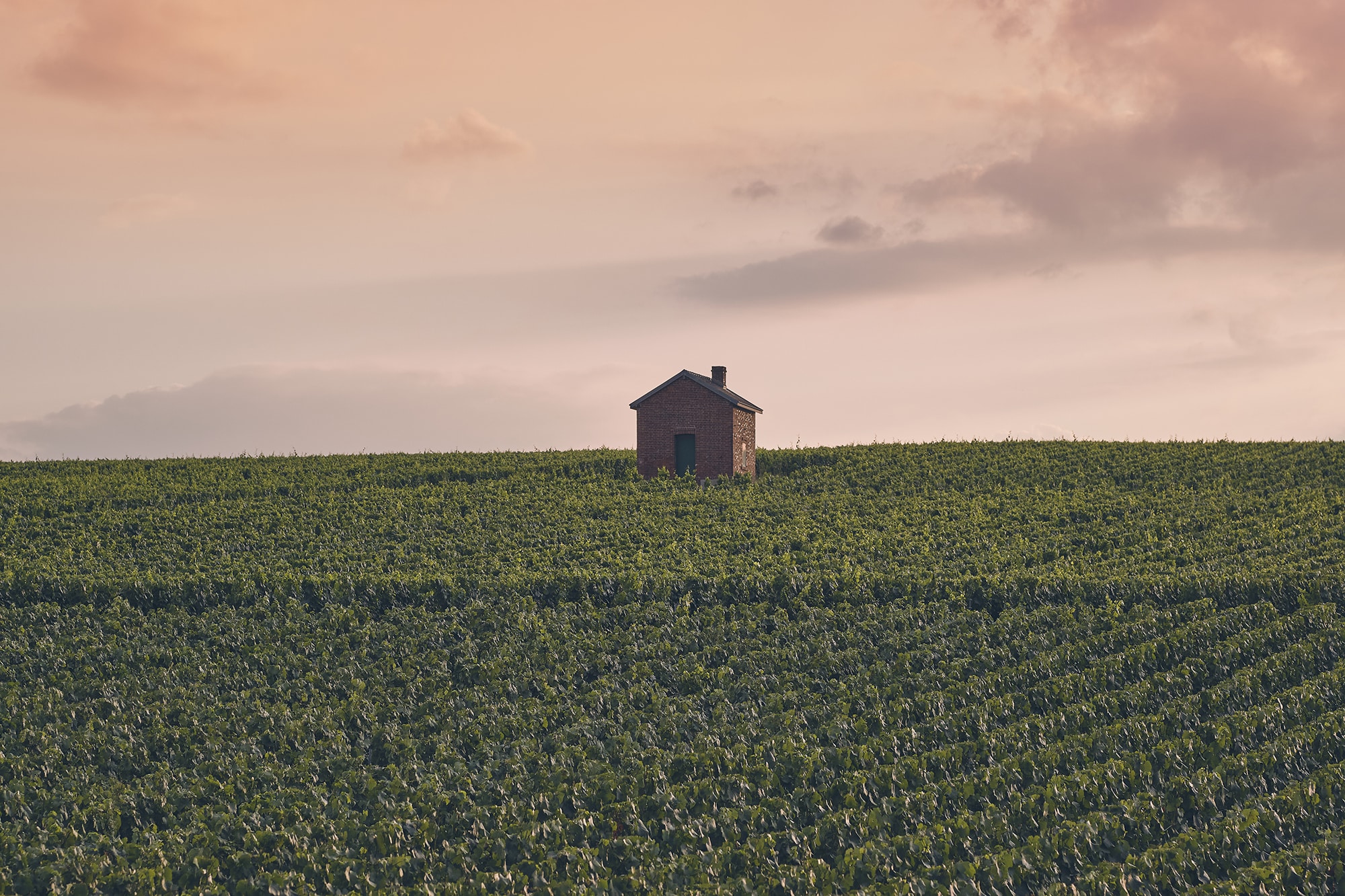 Les loges de vignes champenoises