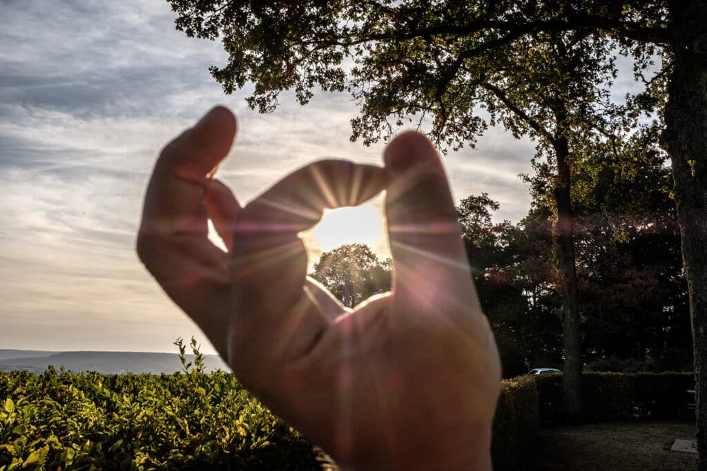 Profiter à Epernay en Champagne dans le vignoble ensoleillé