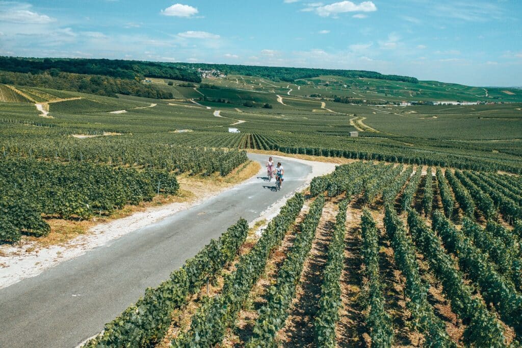 les droners dans le vignoble champenois à vélo
