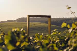 l'art et le vignoble champenois