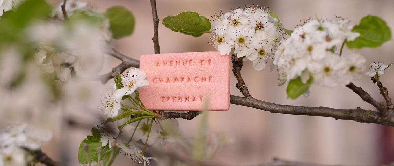 Avenue de champagne Epernay