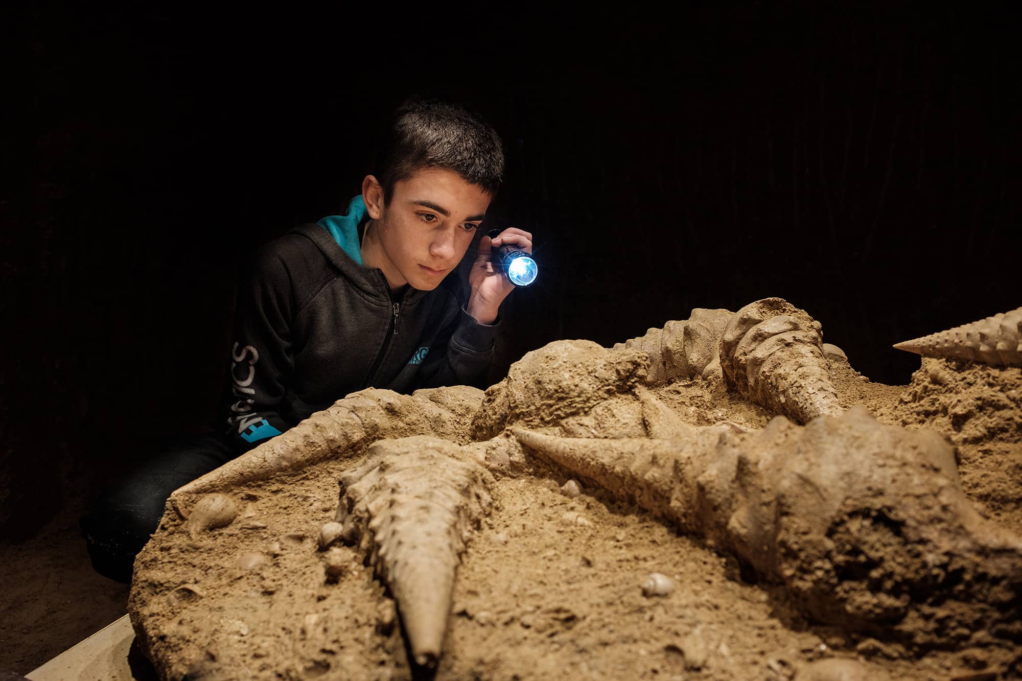 cave aux coquillages