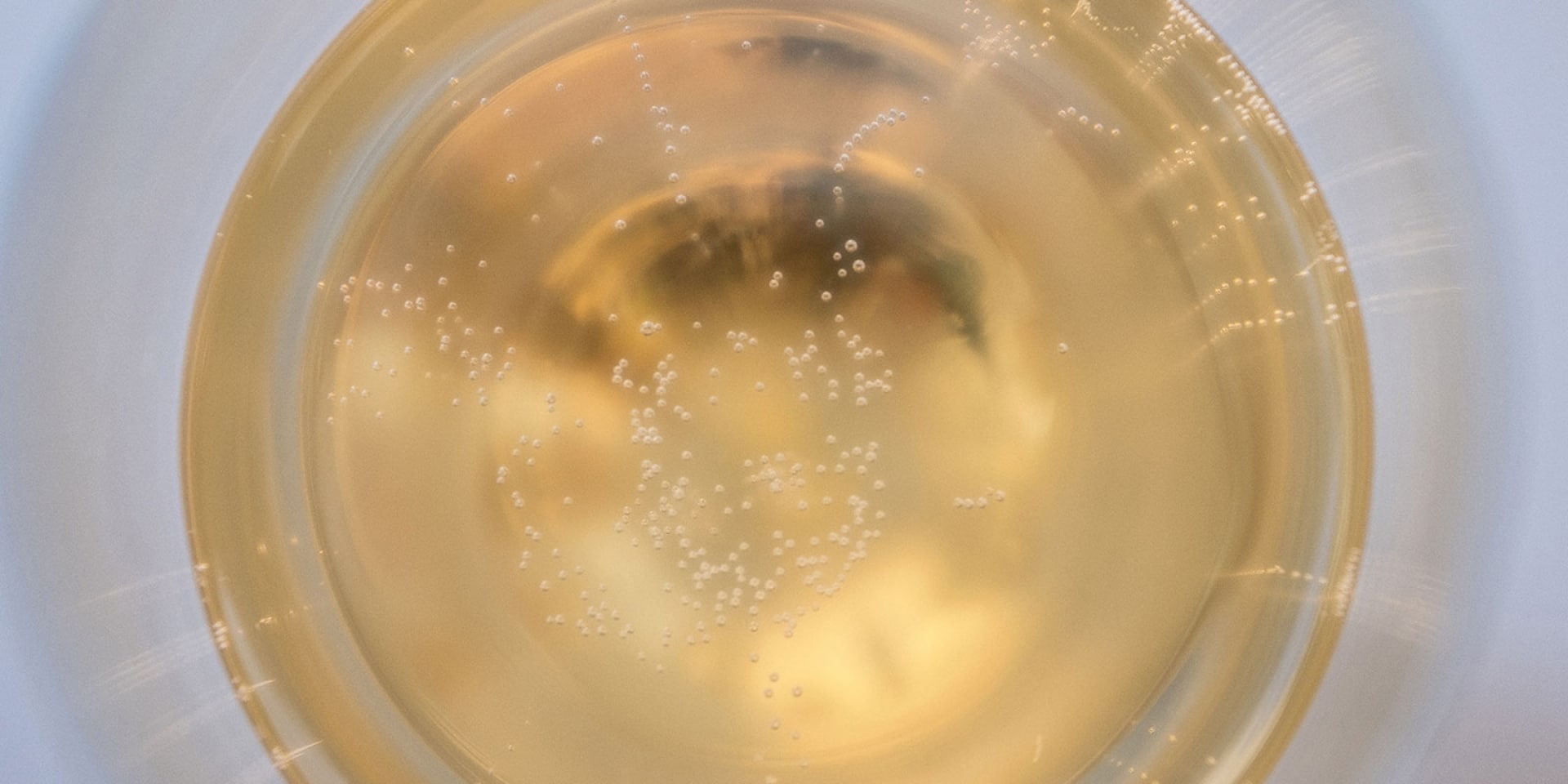 Bulles de champagne - Epernay Tourisme