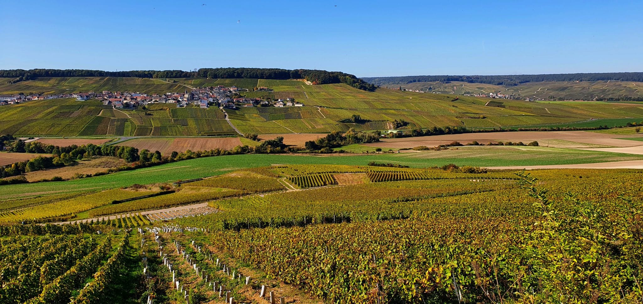 paysage champenois - Epernay tourisme