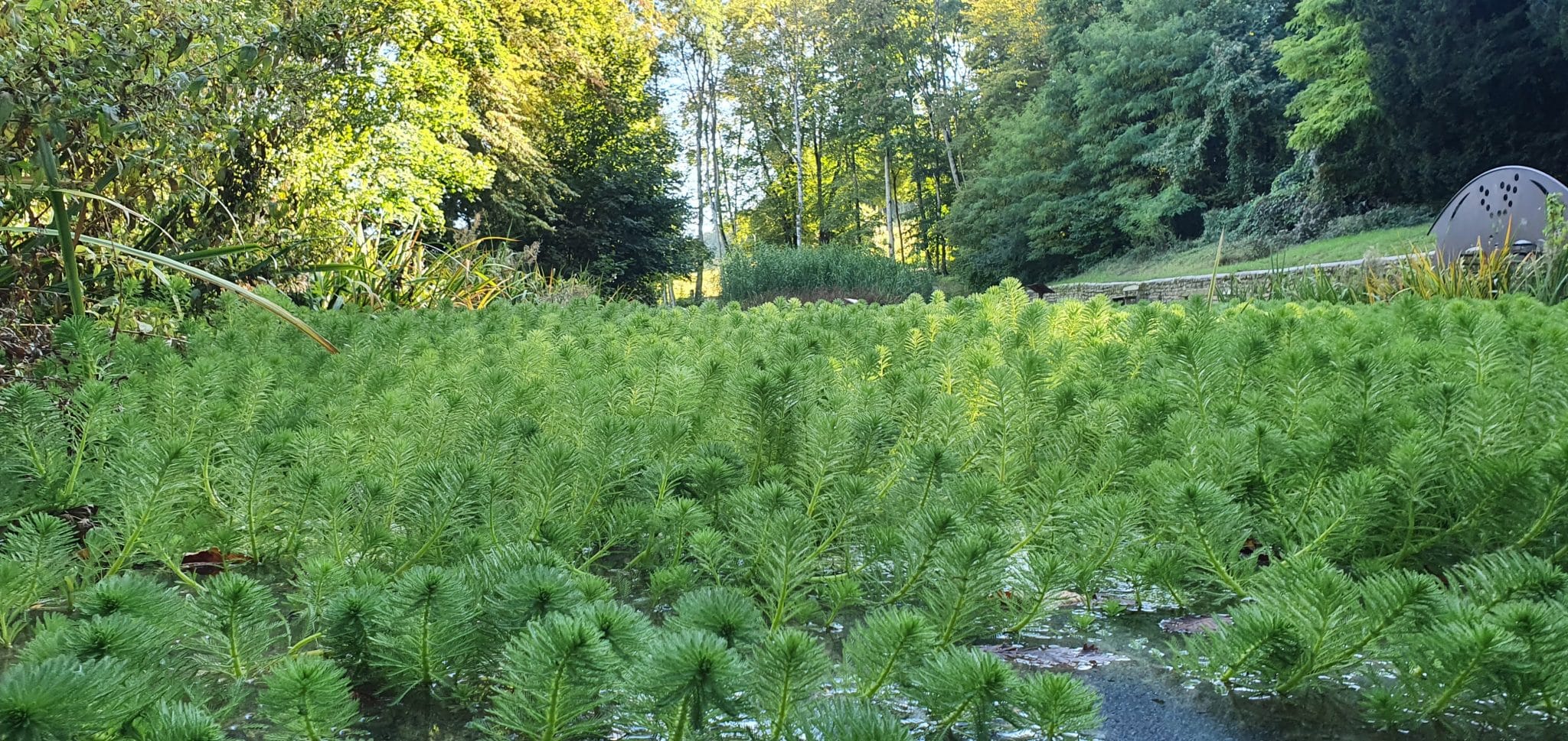 halte nature - Parc vix