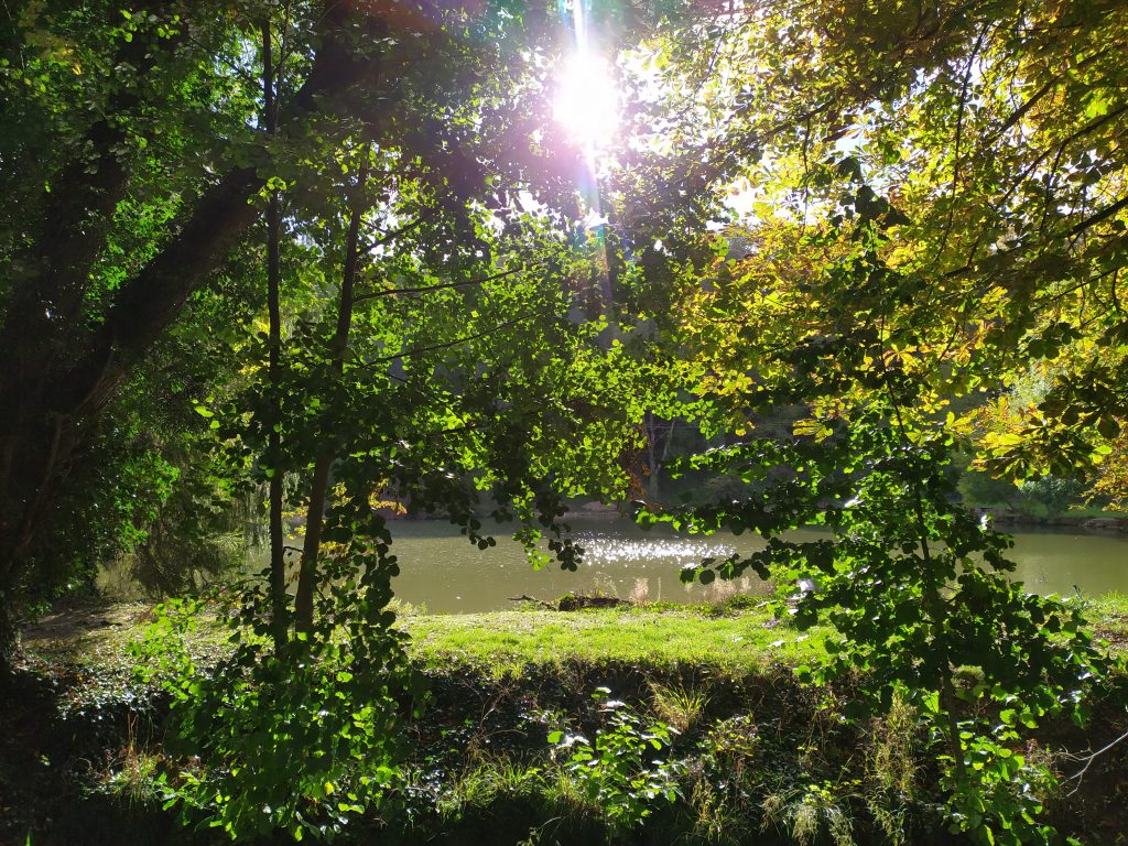 Paysage au bord de l'eau, commune de Mancy - Epernay Tourisme