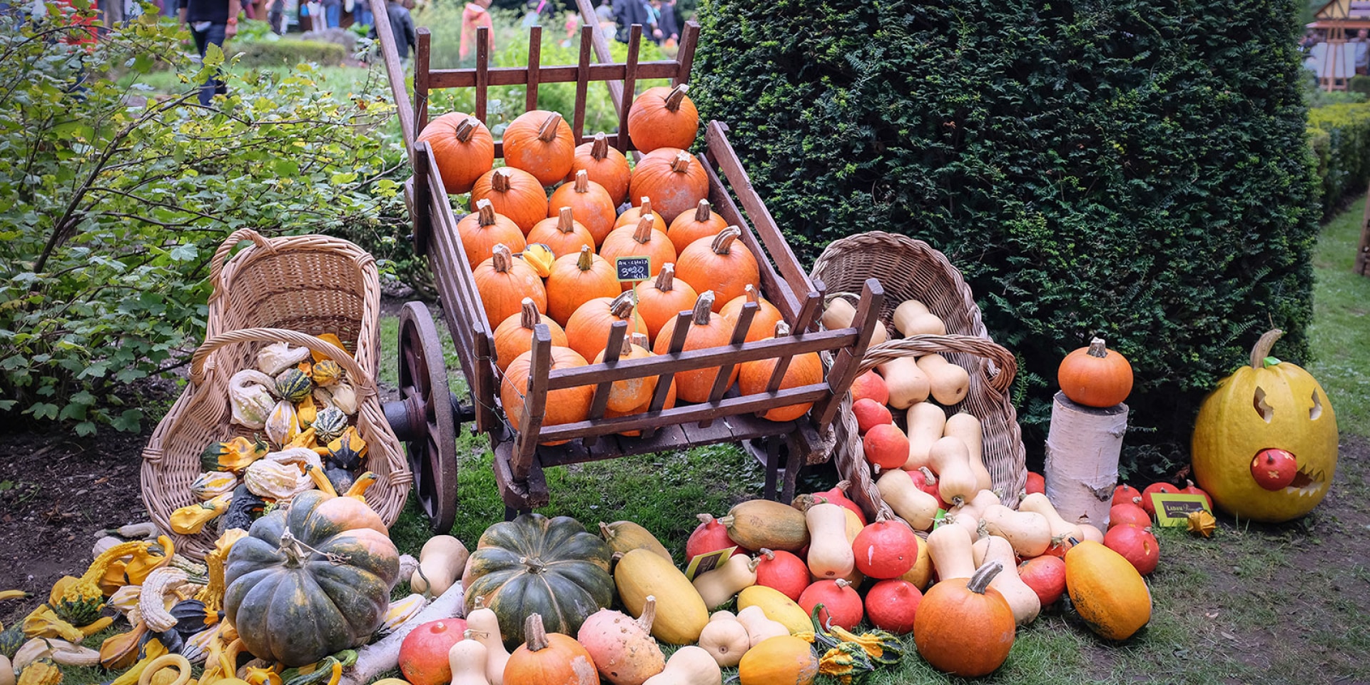 Le marché des producteurs