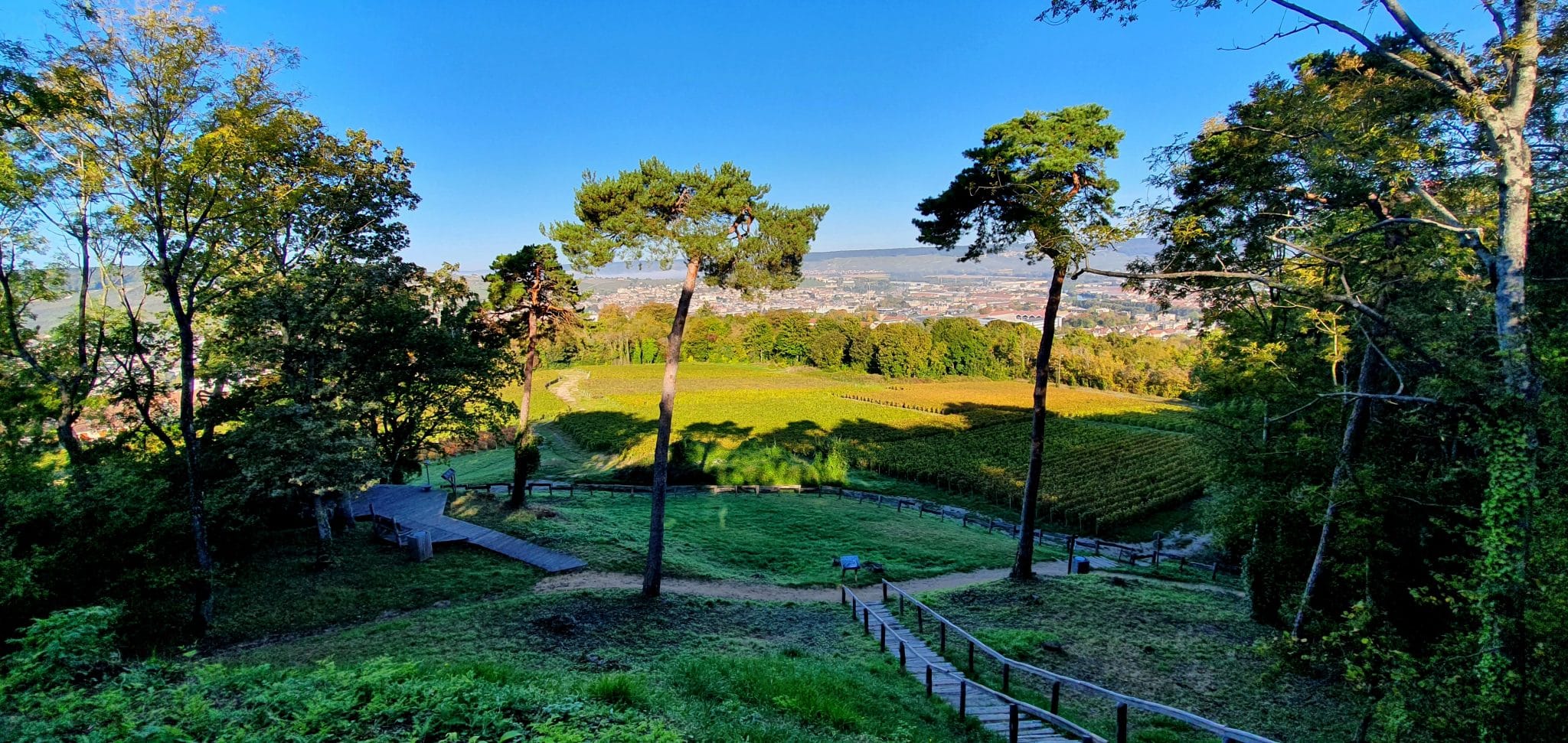 paysage champenois en pleine nature