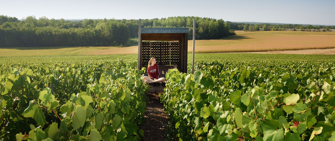 ©Collection OT Lac du Der