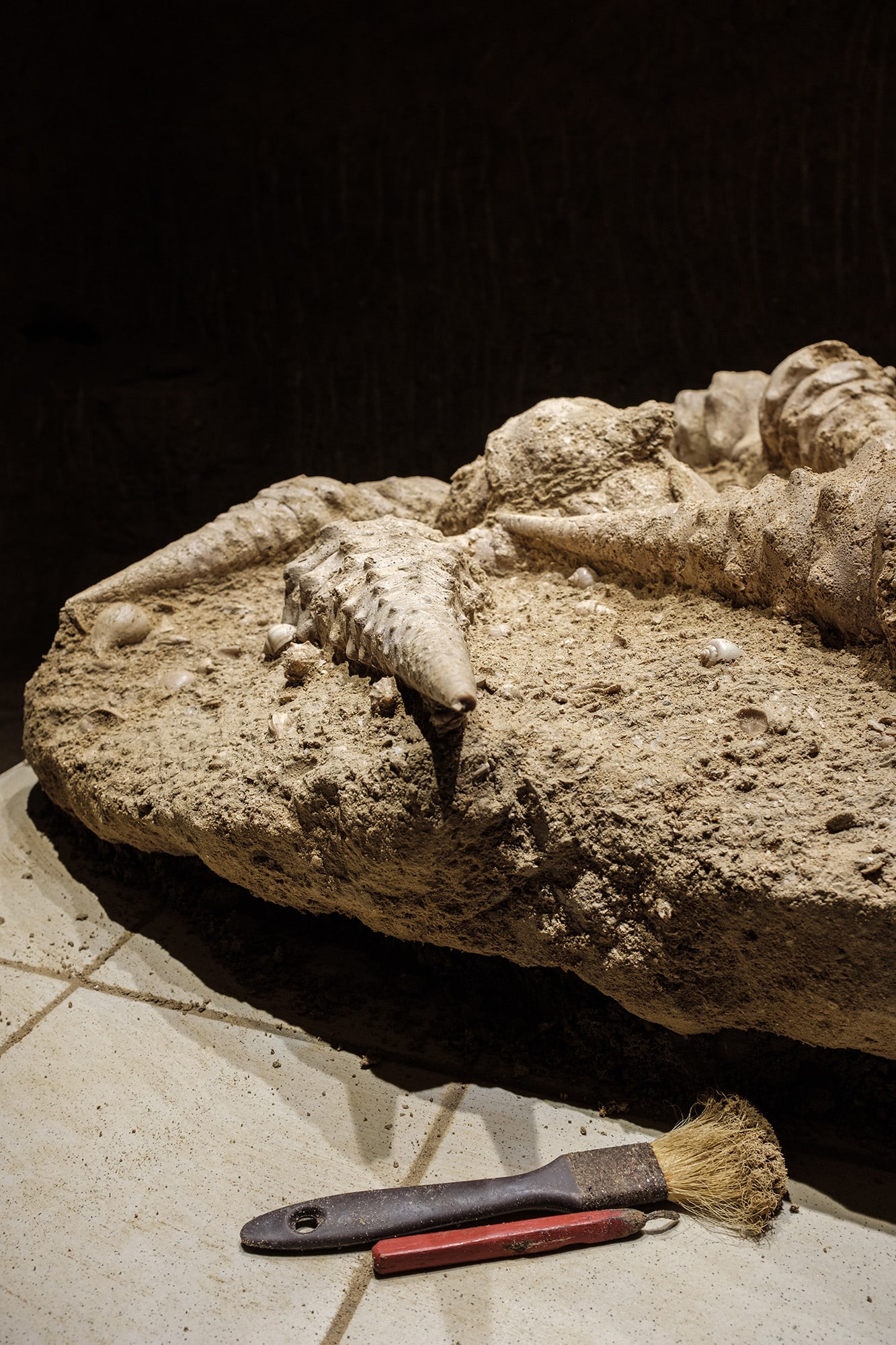 cave-aux-coquillages