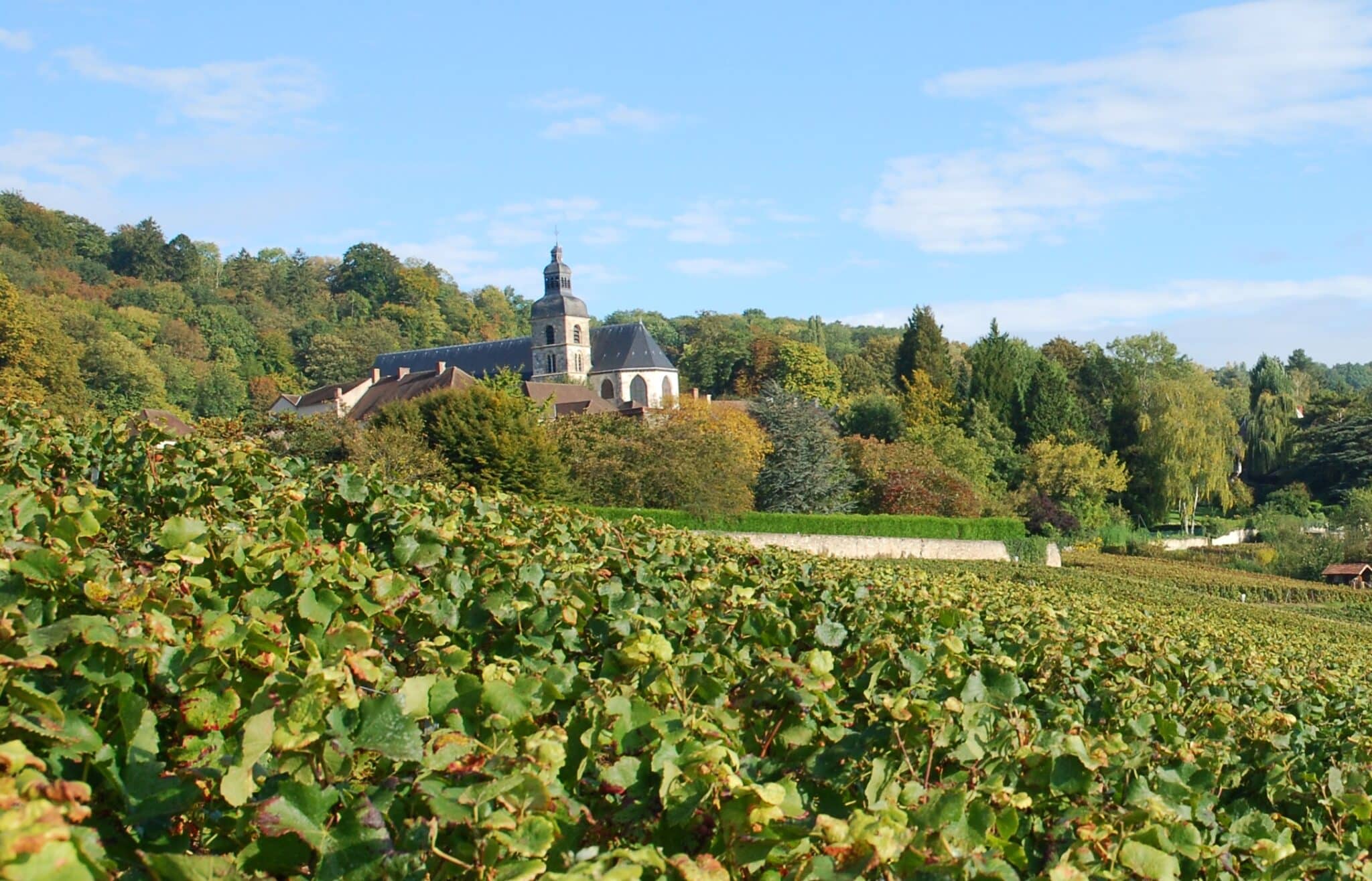Dom Pierre Pérignon à Hautvillers, berceau du Champagne