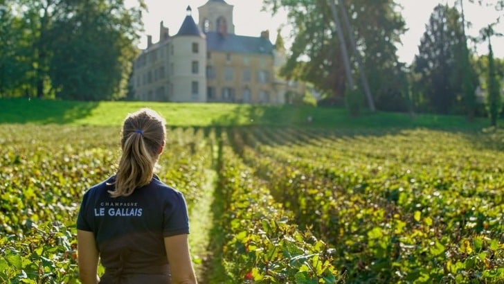 Venez découvrir la fabrication des Champagnes au sein d’une famille de passionnés, lors d’une visite guidée autour du pressoir, de la cuverie et des caves voûtées sous le manoir familial datant du XVIe siècle.