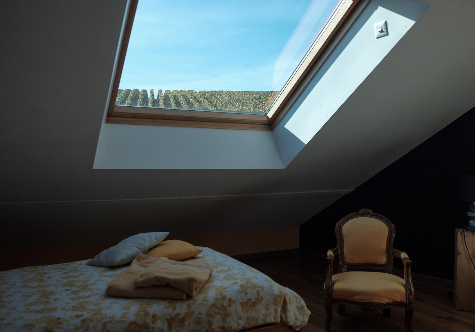 dormir en plein cœur du vignoble champenois à la découverte de ses secrets directement sur place !